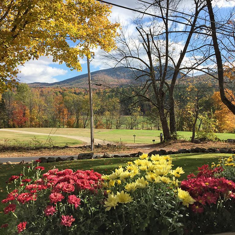 Carter Notch Inn แจ็กสัน ภายนอก รูปภาพ